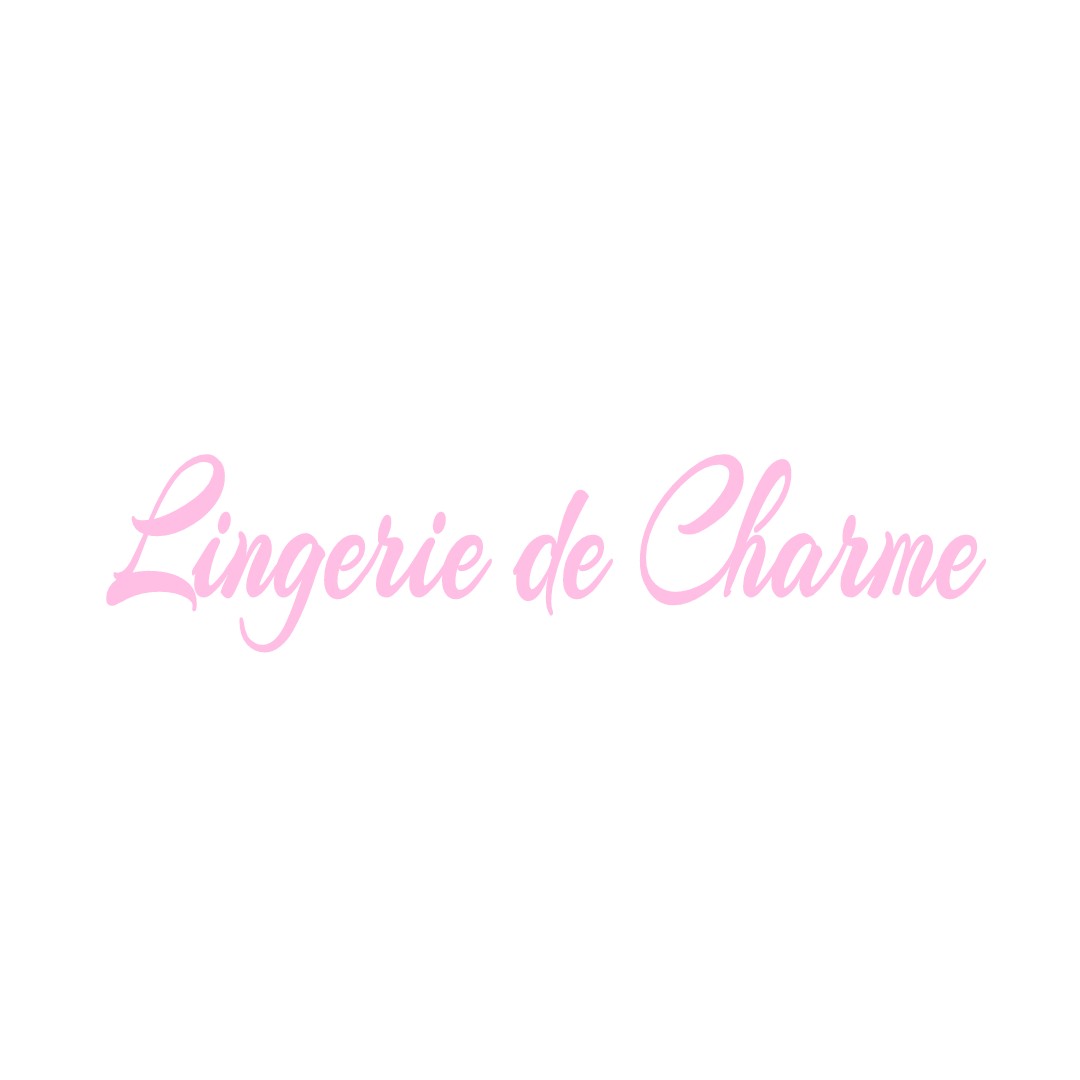 LINGERIE DE CHARME LA-ROCHE-CLERMAULT